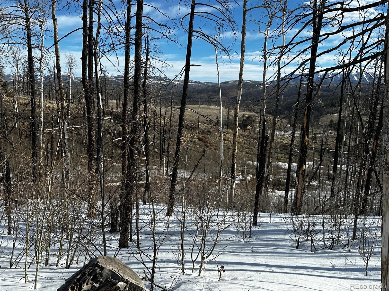 790 Duckworth Drive, Fort Garland, CO 81133, ,Land,For Sale,Duckworth,REC3437378