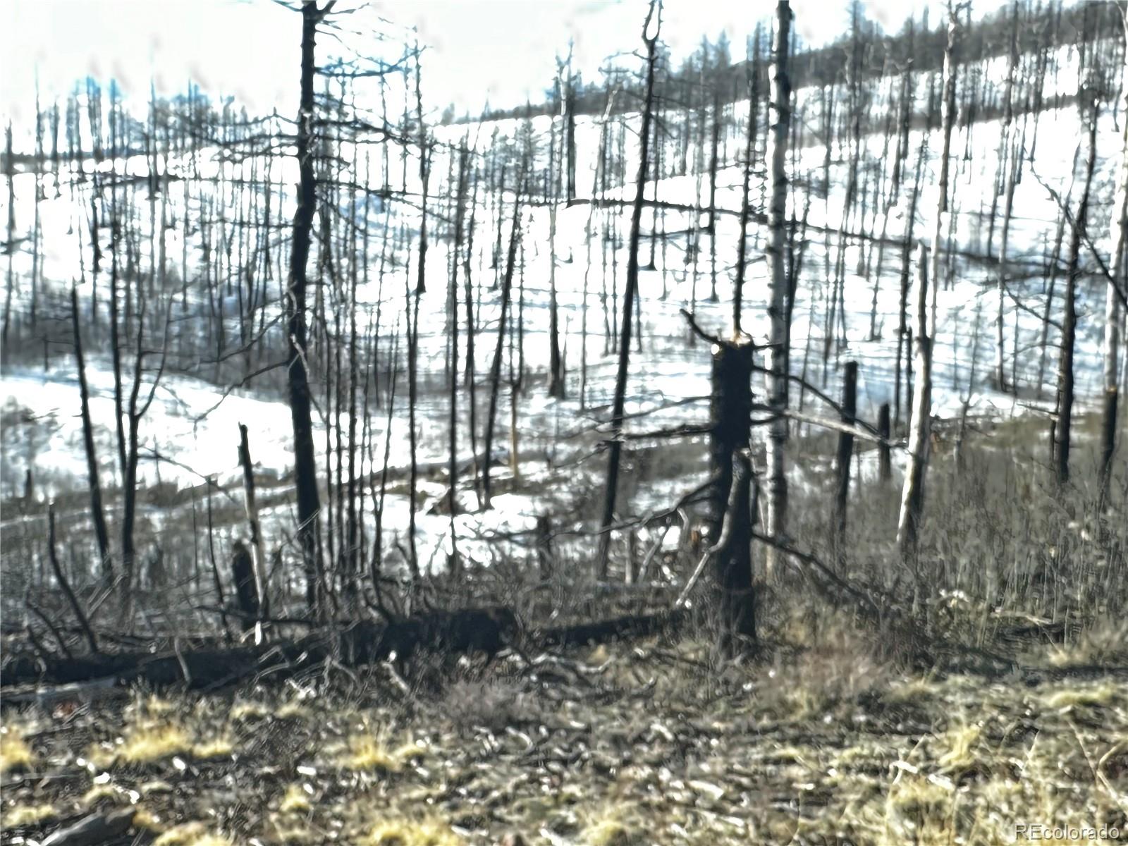 790 Duckworth Drive, Fort Garland, CO 81133, ,Land,For Sale,Duckworth,REC3437378