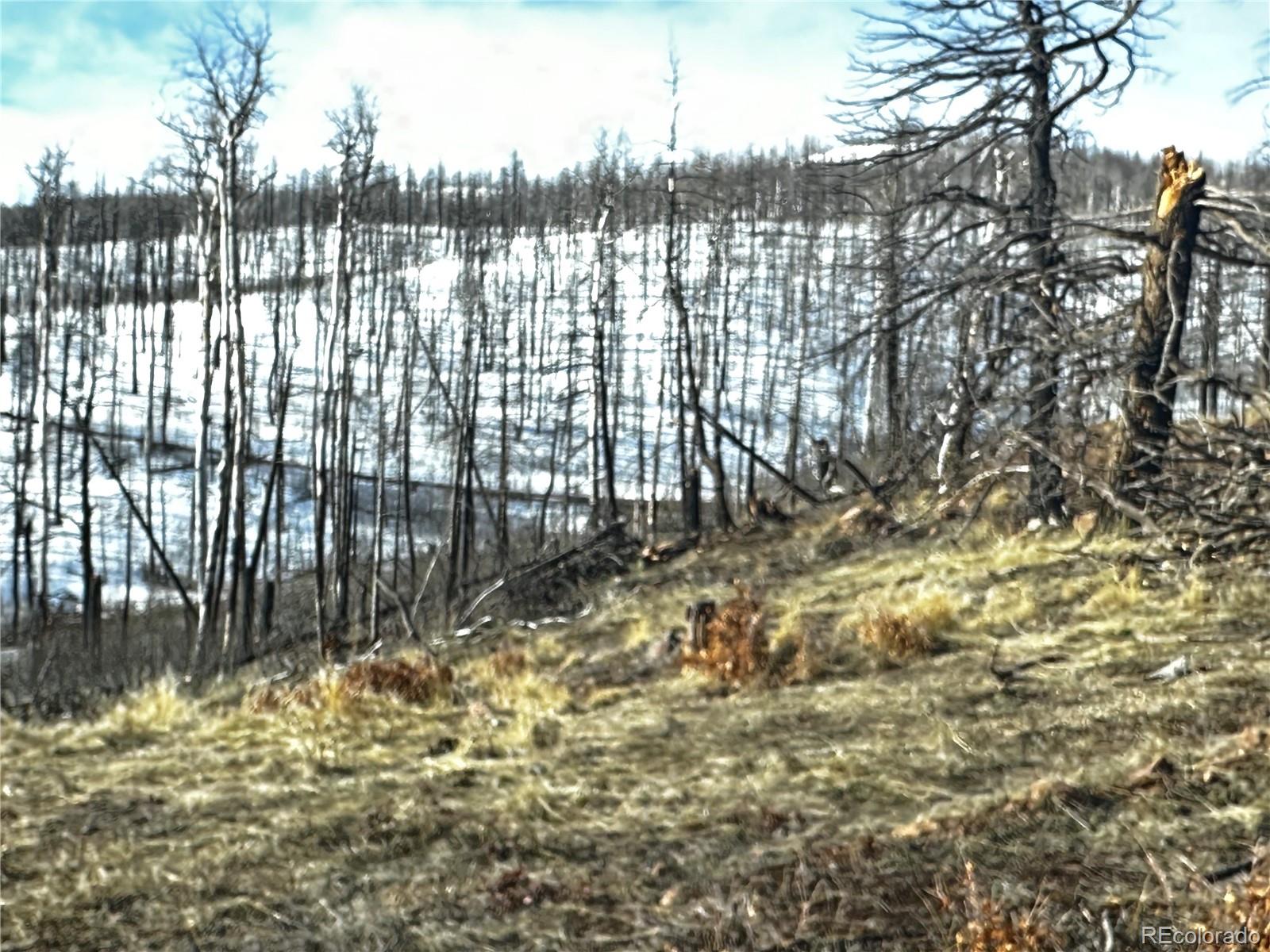 790 Duckworth Drive, Fort Garland, CO 81133, ,Land,For Sale,Duckworth,REC3437378