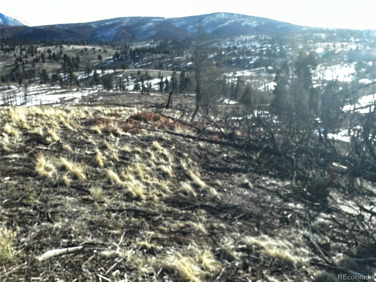 790 Duckworth Drive, Fort Garland, CO 81133, ,Land,For Sale,Duckworth,REC3437378