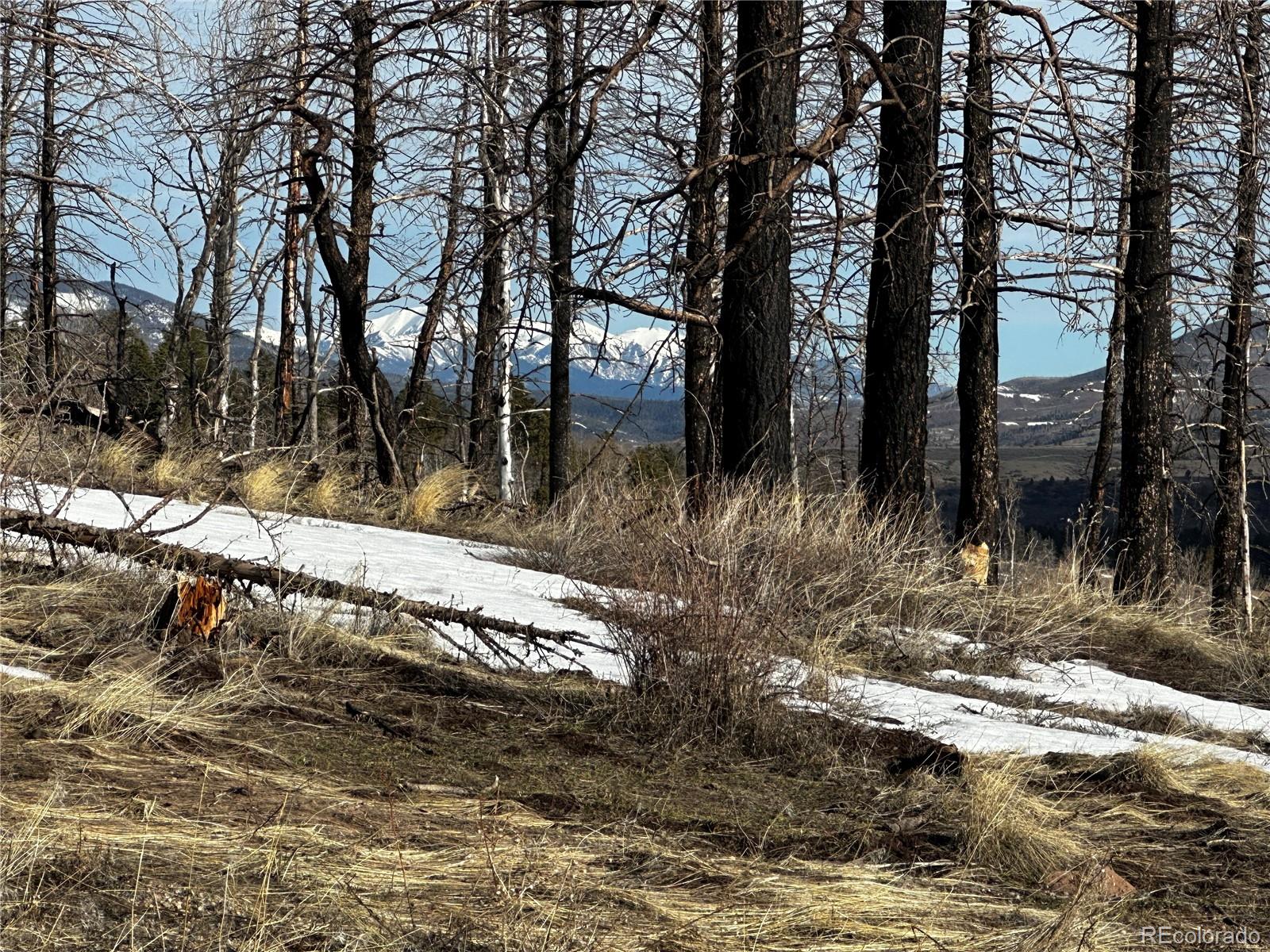 790 Duckworth Drive, Fort Garland, CO 81133, ,Land,For Sale,Duckworth,REC3437378