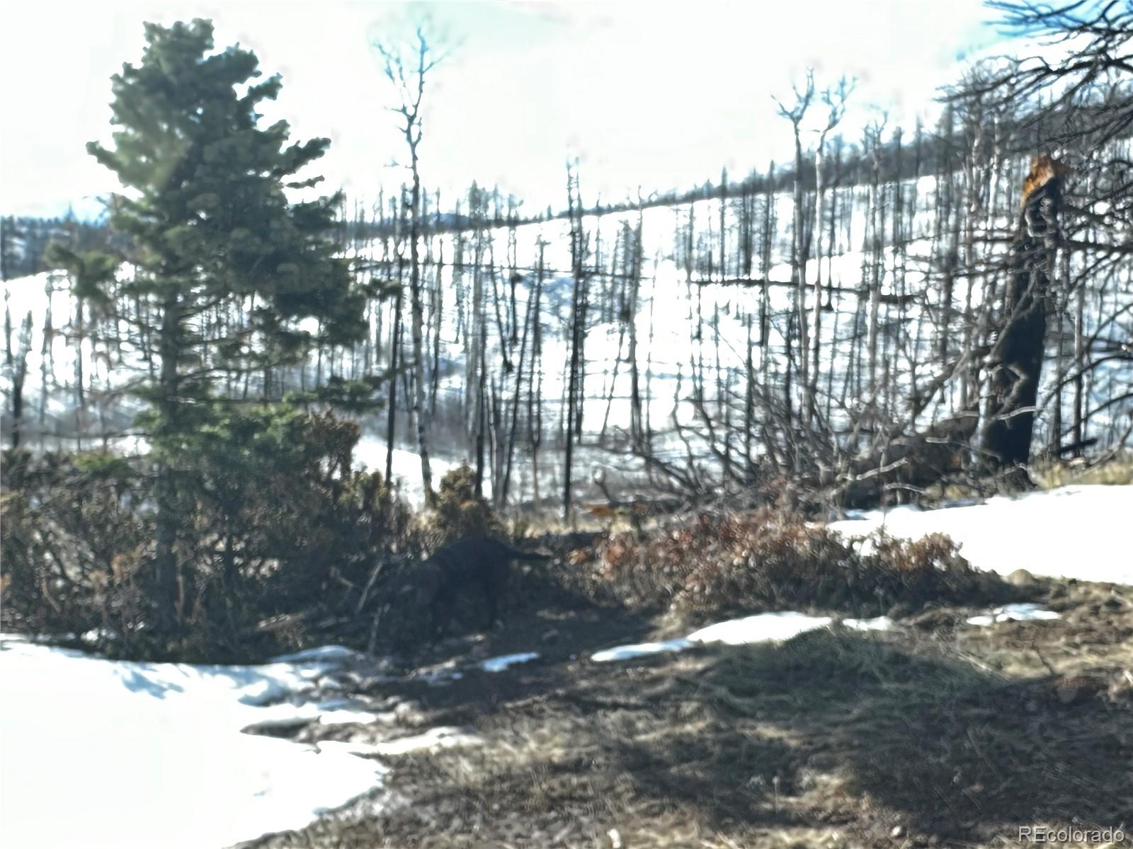 790 Duckworth Drive, Fort Garland, CO 81133, ,Land,For Sale,Duckworth,REC3437378