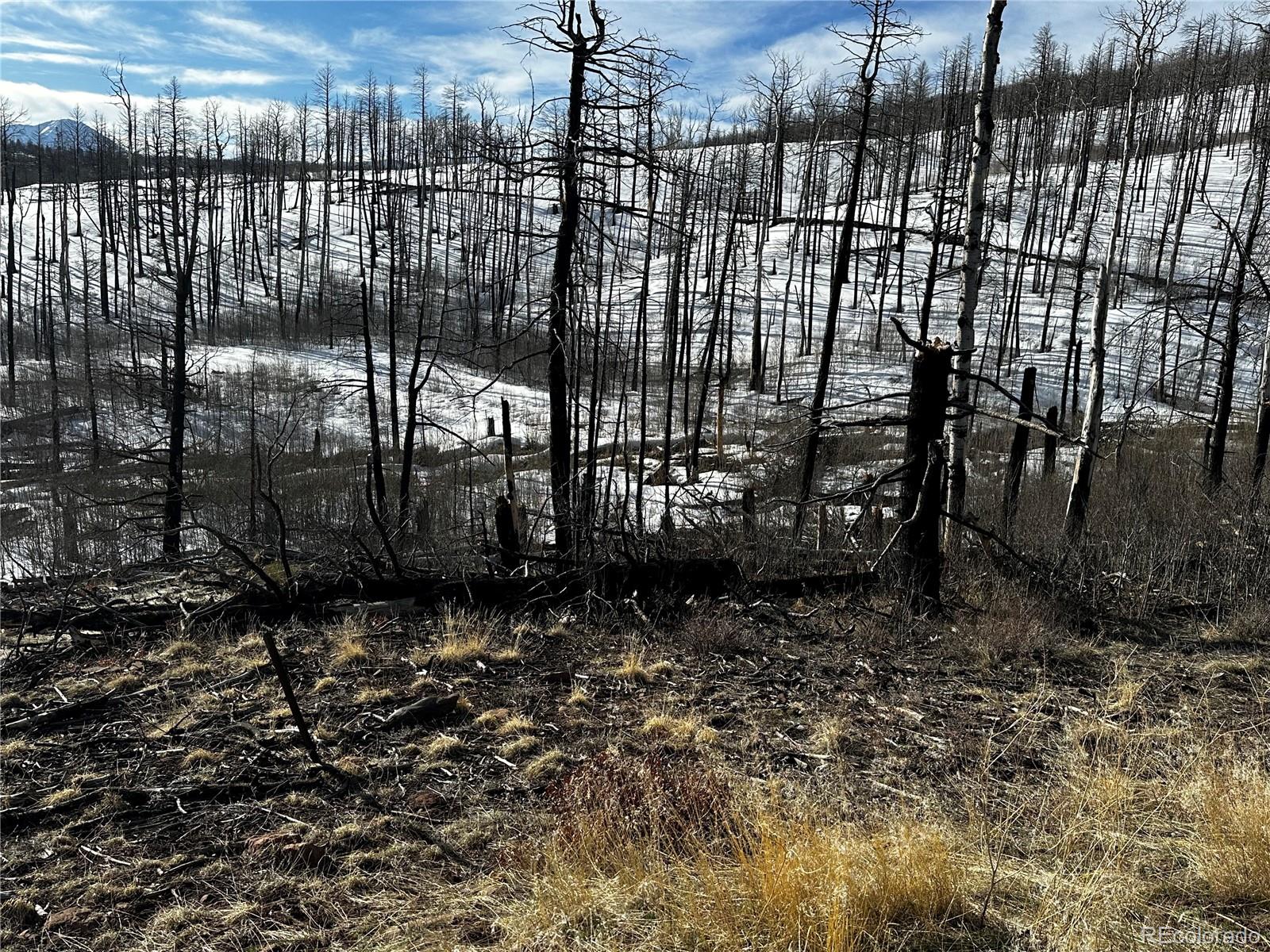 790 Duckworth Drive, Fort Garland, CO 81133, ,Land,For Sale,Duckworth,REC3437378