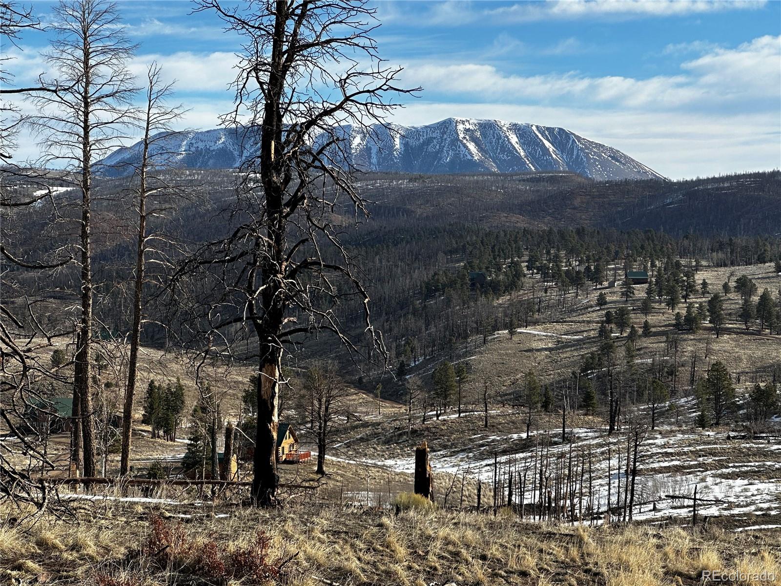 790 Duckworth Drive, Fort Garland, CO 81133, ,Land,For Sale,Duckworth,REC3437378