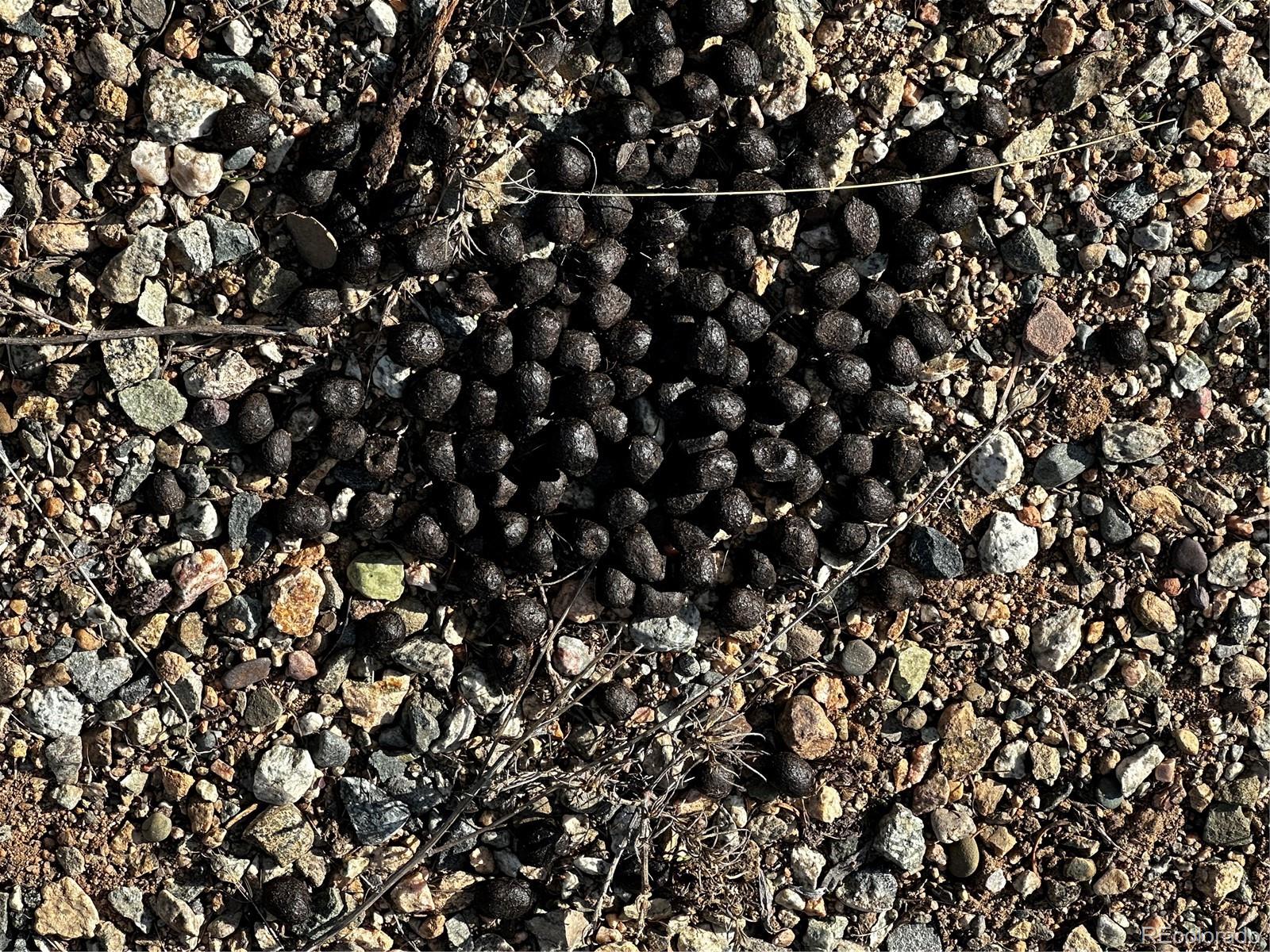 790 Duckworth Drive, Fort Garland, CO 81133, ,Land,For Sale,Duckworth,REC3437378