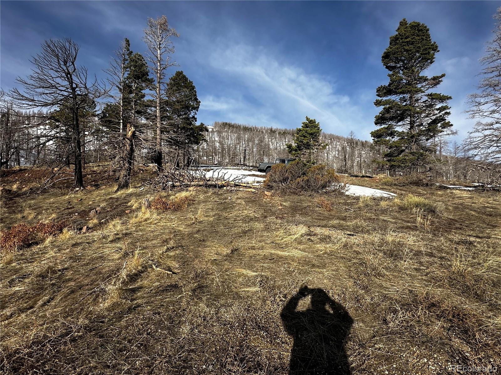 790 Duckworth Drive, Fort Garland, CO 81133, ,Land,For Sale,Duckworth,REC3437378