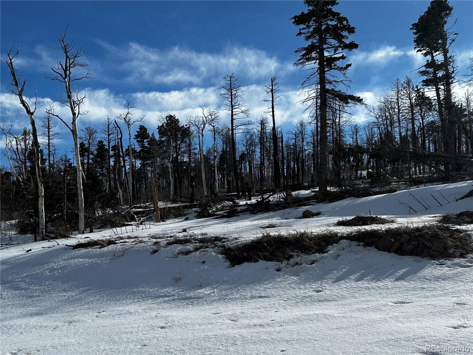 2332 Hayden Lane, Fort Garland, CO 81133, ,Land,For Sale,Hayden,REC8953798