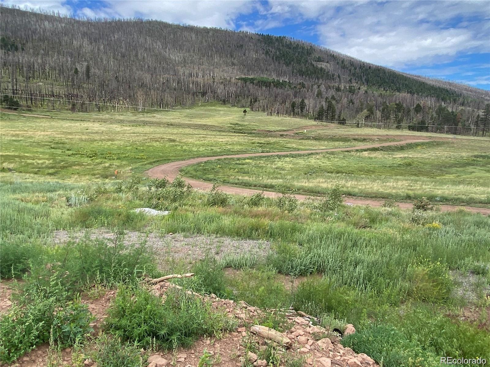 2332 Hayden Lane, Fort Garland, CO 81133, ,Land,For Sale,Hayden,REC8953798