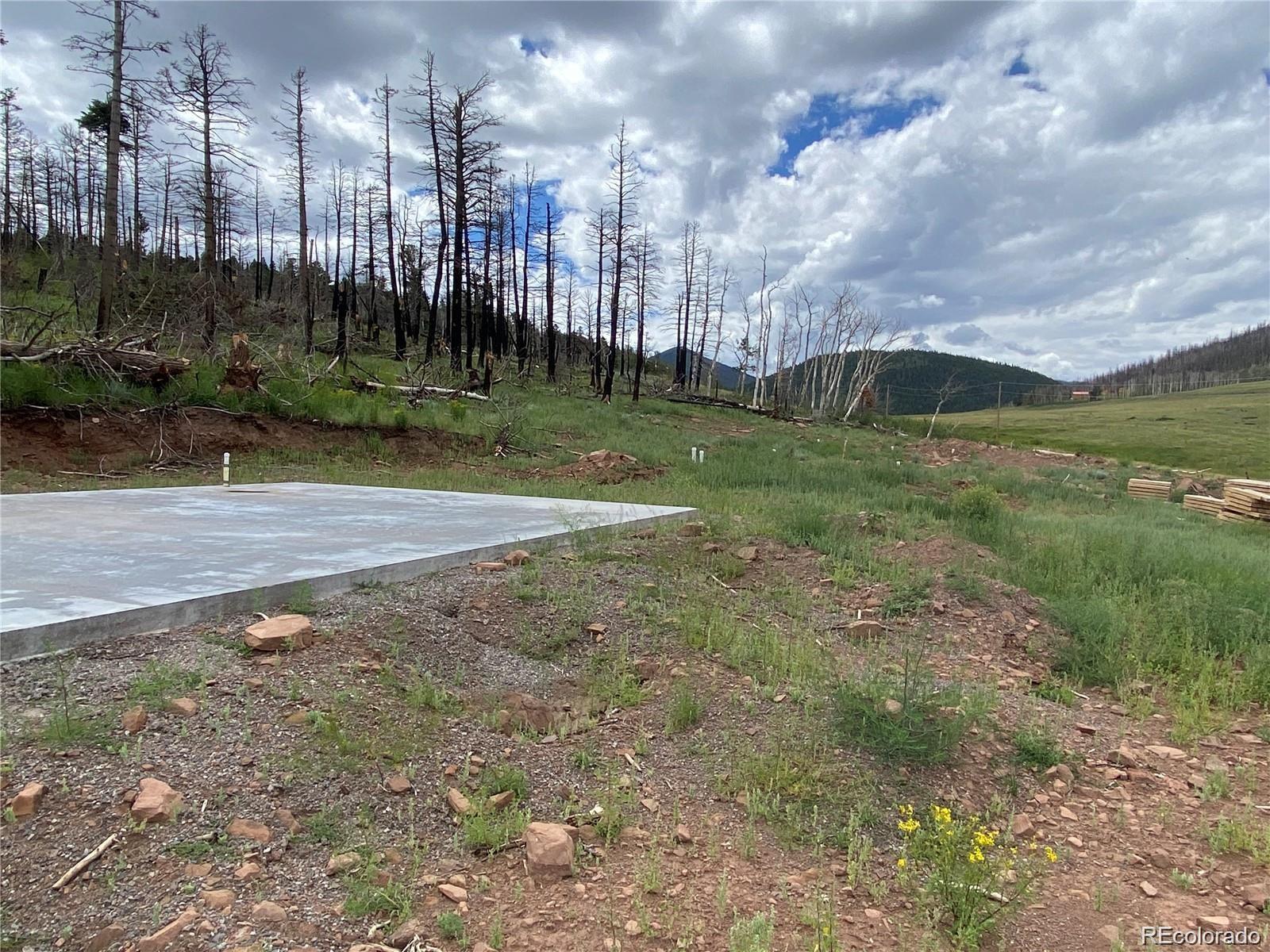 2332 Hayden Lane, Fort Garland, CO 81133, ,Land,For Sale,Hayden,REC8953798