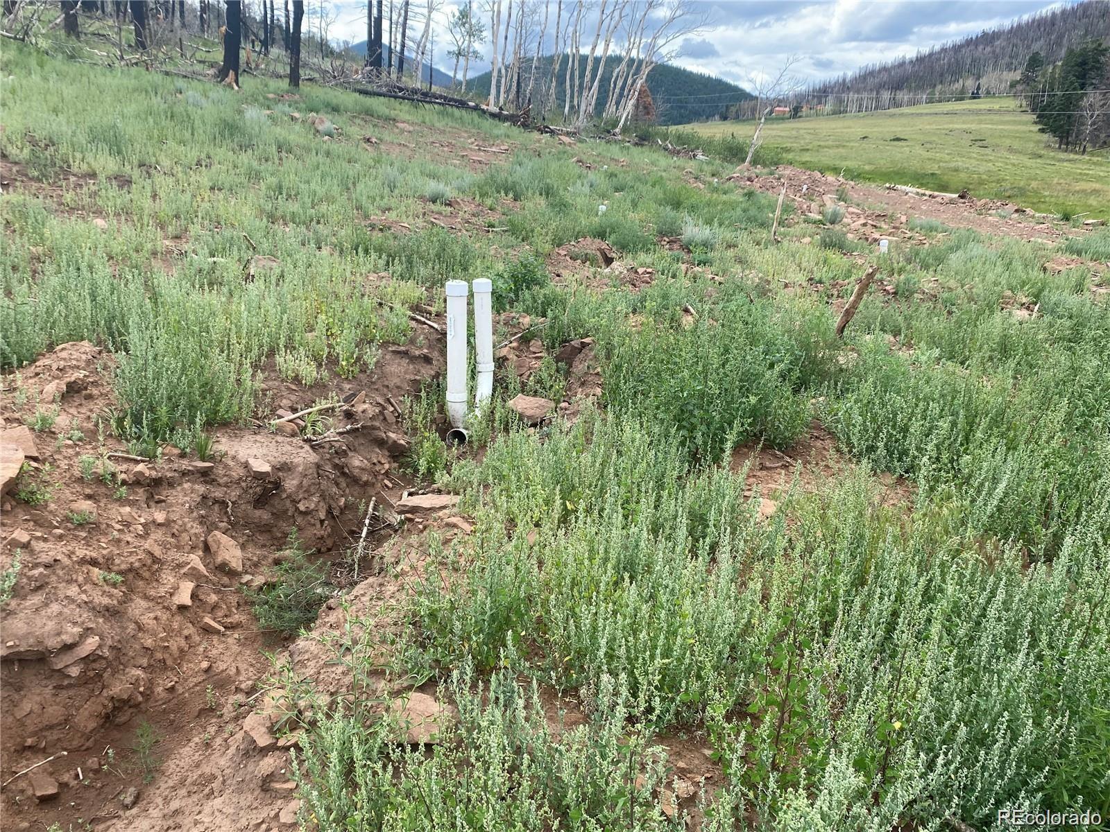 2332 Hayden Lane, Fort Garland, CO 81133, ,Land,For Sale,Hayden,REC8953798