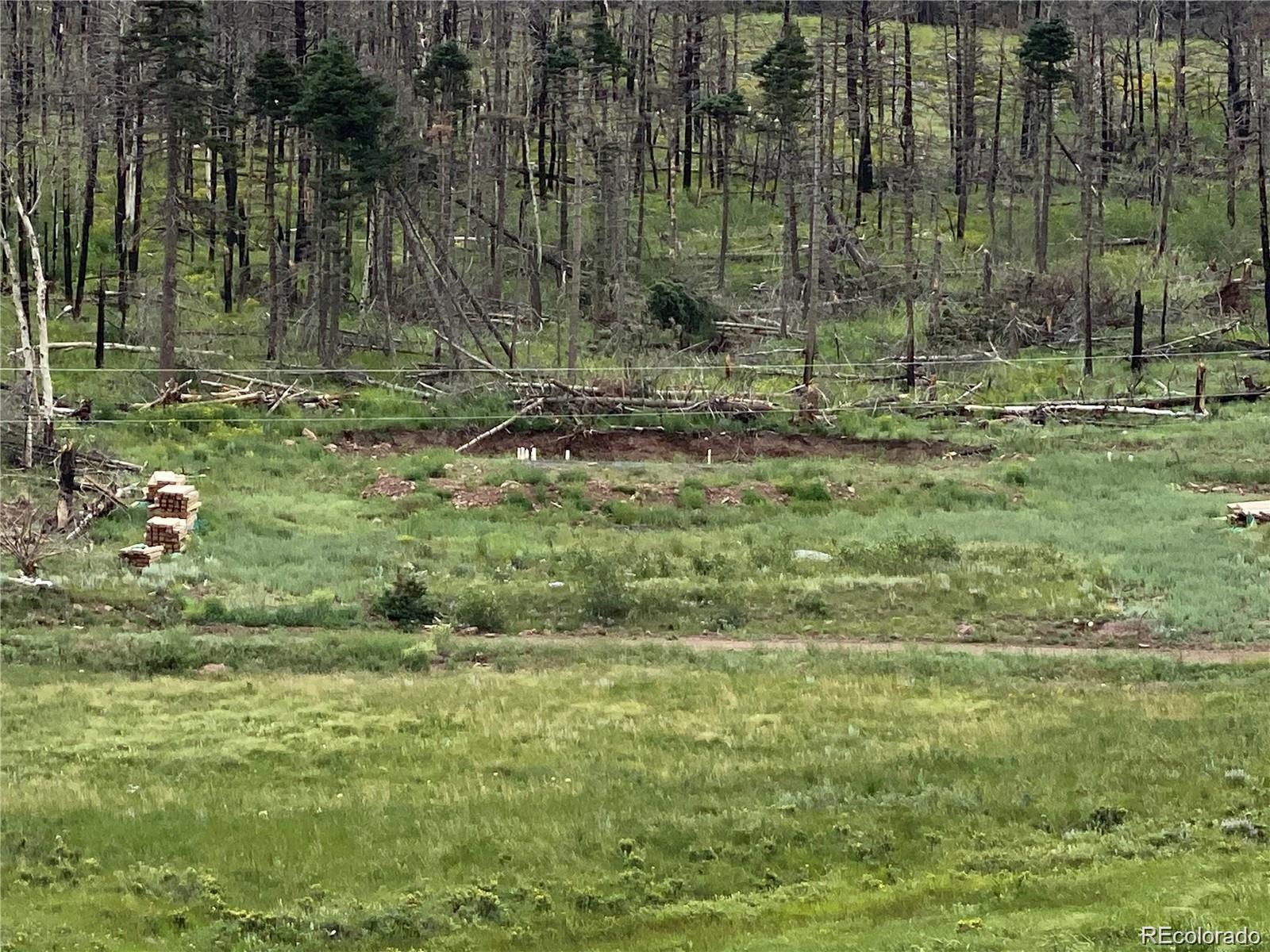2332 Hayden Lane, Fort Garland, CO 81133, ,Land,For Sale,Hayden,REC8953798