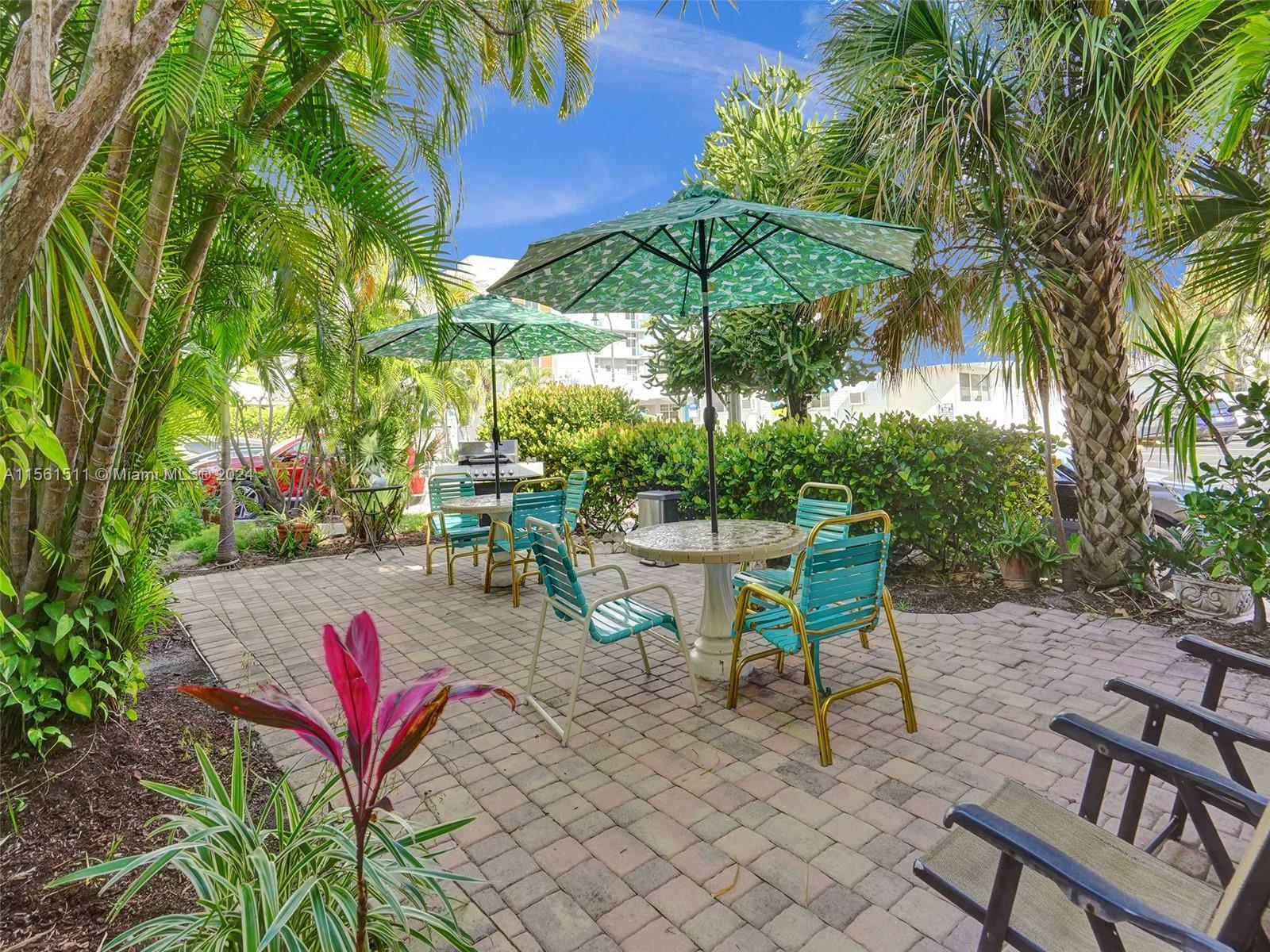 Tropical Oasis