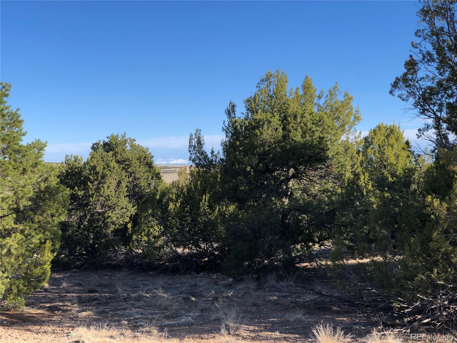 Lot 127 Cedarwood Station, Pueblo, CO 81008, ,Land,For Sale,Cedarwood Station,REC4924197