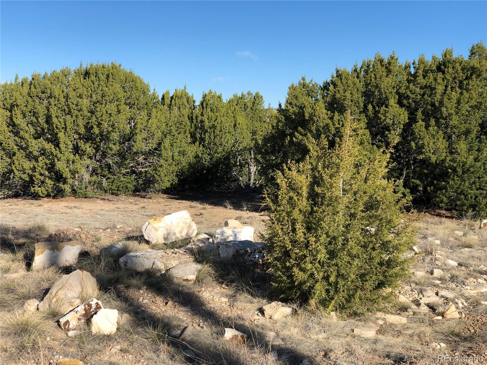 Lot 127 Cedarwood Station, Pueblo, CO 81008, ,Land,For Sale,Cedarwood Station,REC4924197