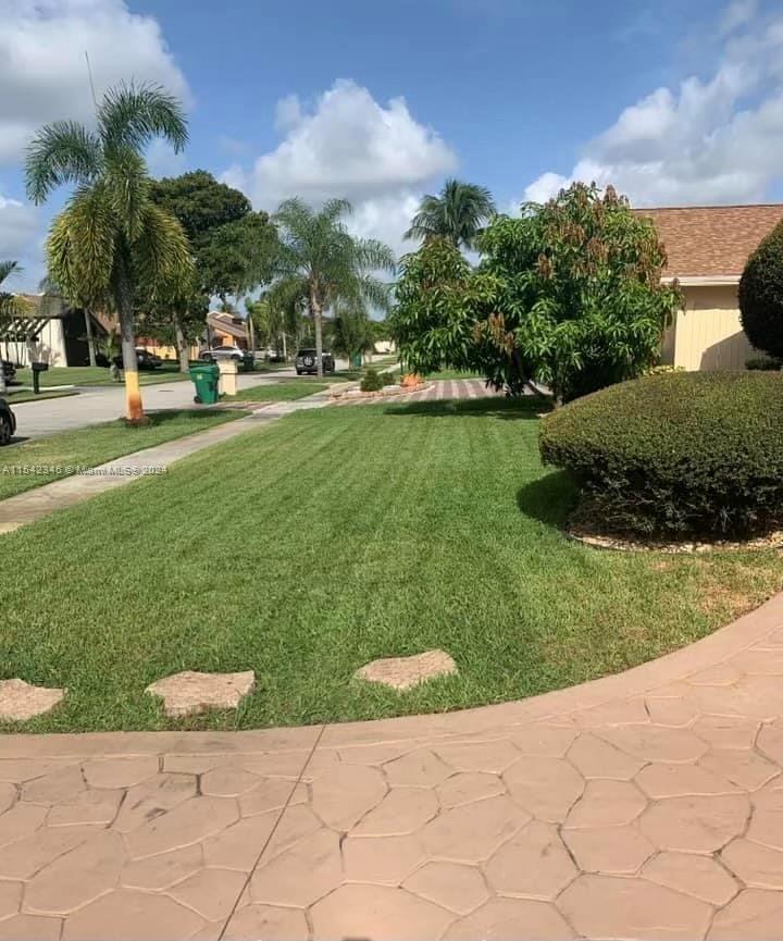 Front yard with view of mango tree