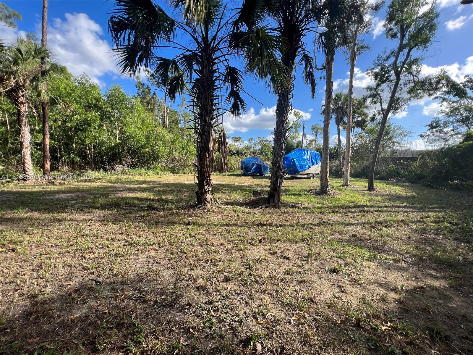 Yard
