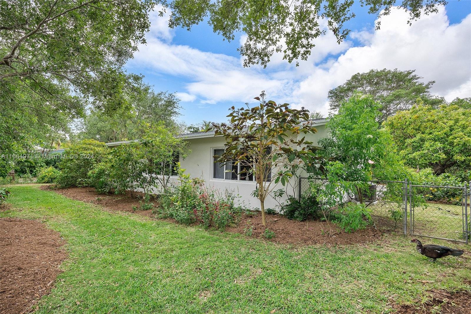 large corner lot. The yard is a gardener’s delight, showcasing an array of native plants, herbs, and fruit trees.