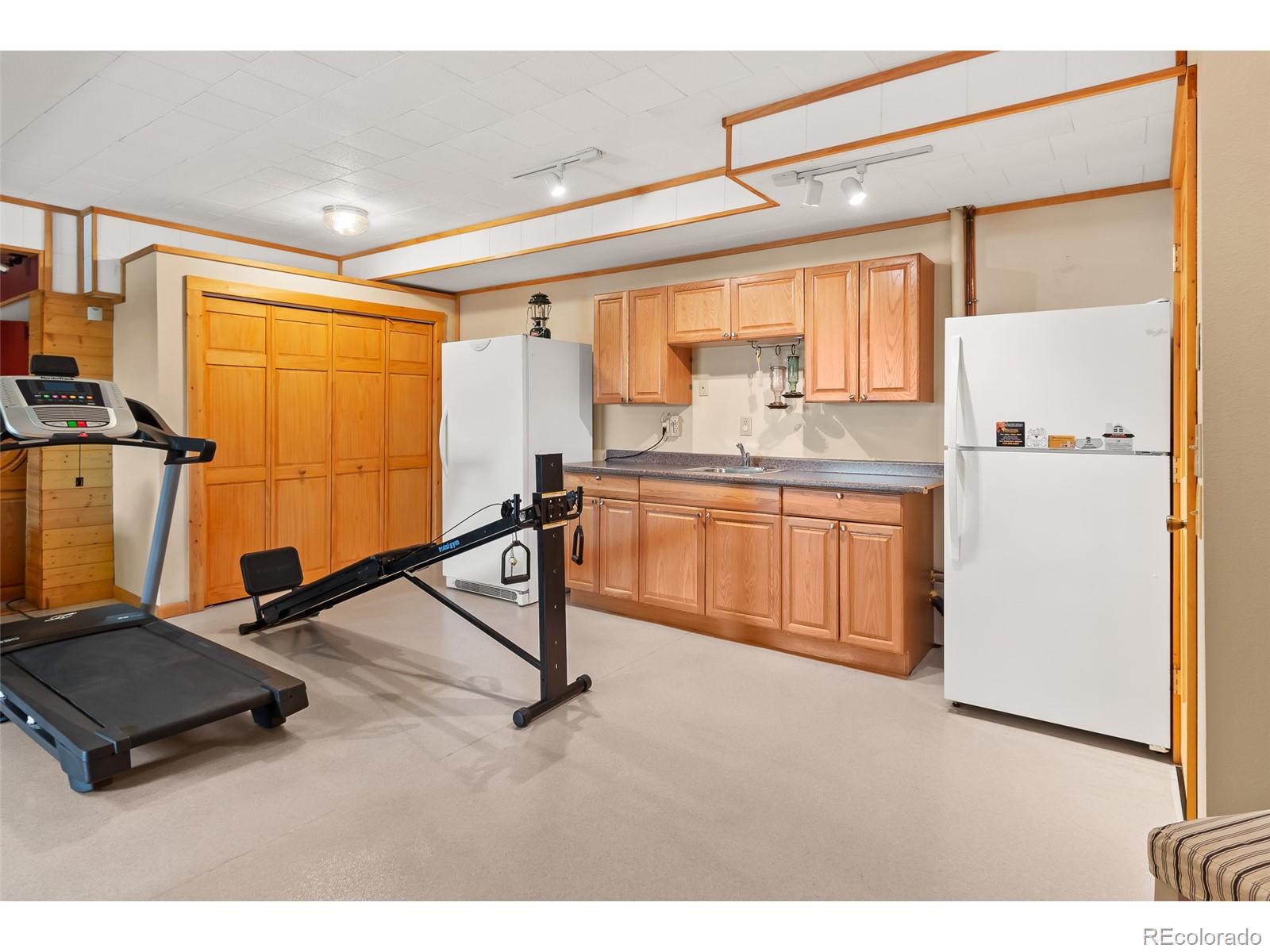 1666 High Creek Road, Fairplay, CO 80440, 3 Bedrooms Bedrooms, ,3 BathroomsBathrooms,Residential,For Sale,High Creek,REC5756185