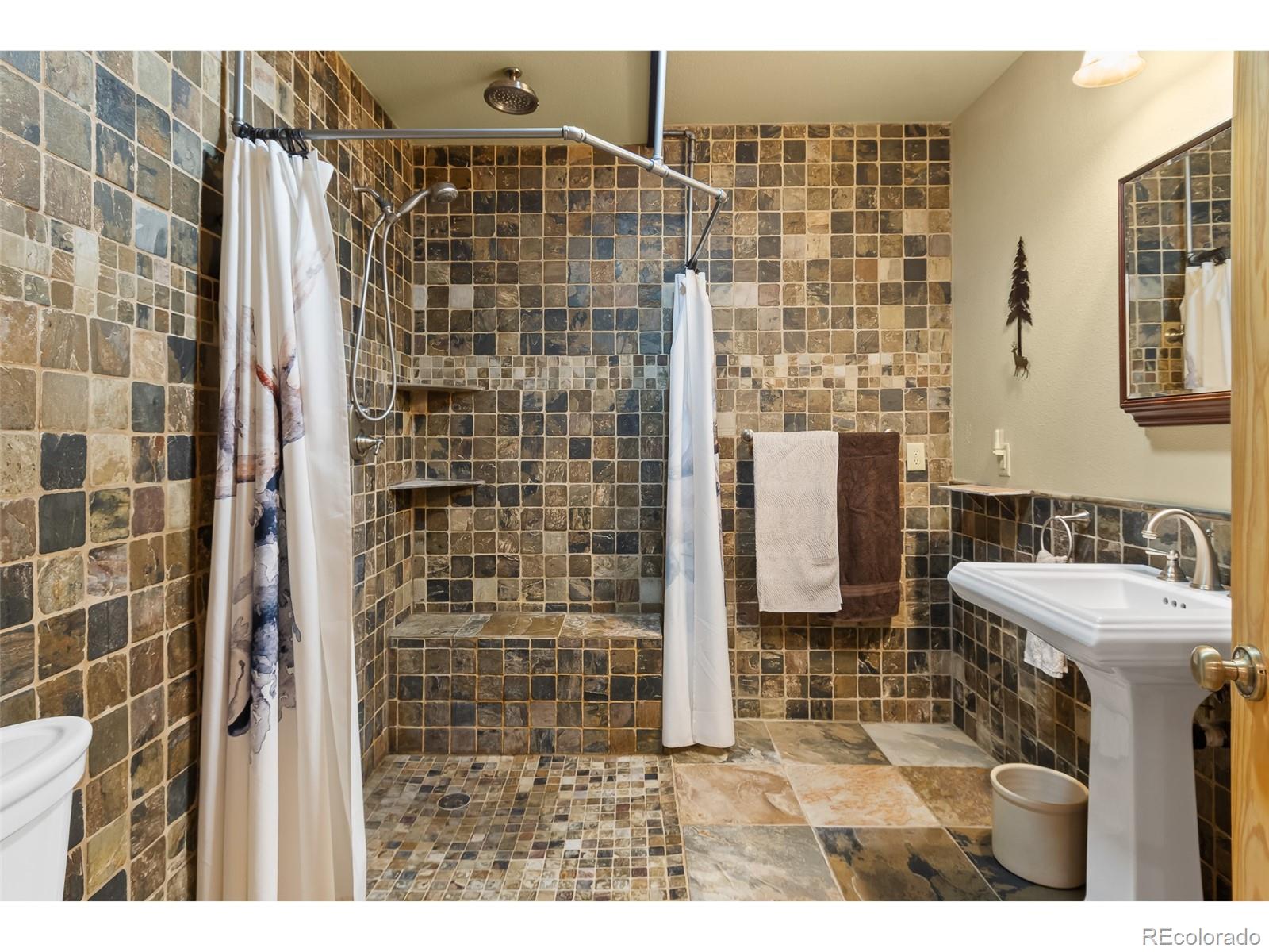 1666 High Creek Road, Fairplay, CO 80440, 3 Bedrooms Bedrooms, ,3 BathroomsBathrooms,Residential,For Sale,High Creek,REC5756185