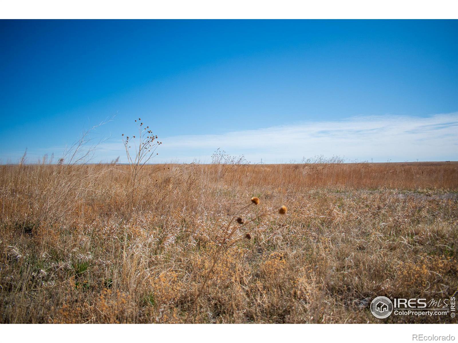 0 County Road 100, Briggsdale, CO 80611, ,Residential,For Sale,County Road 100,RECIR1007199