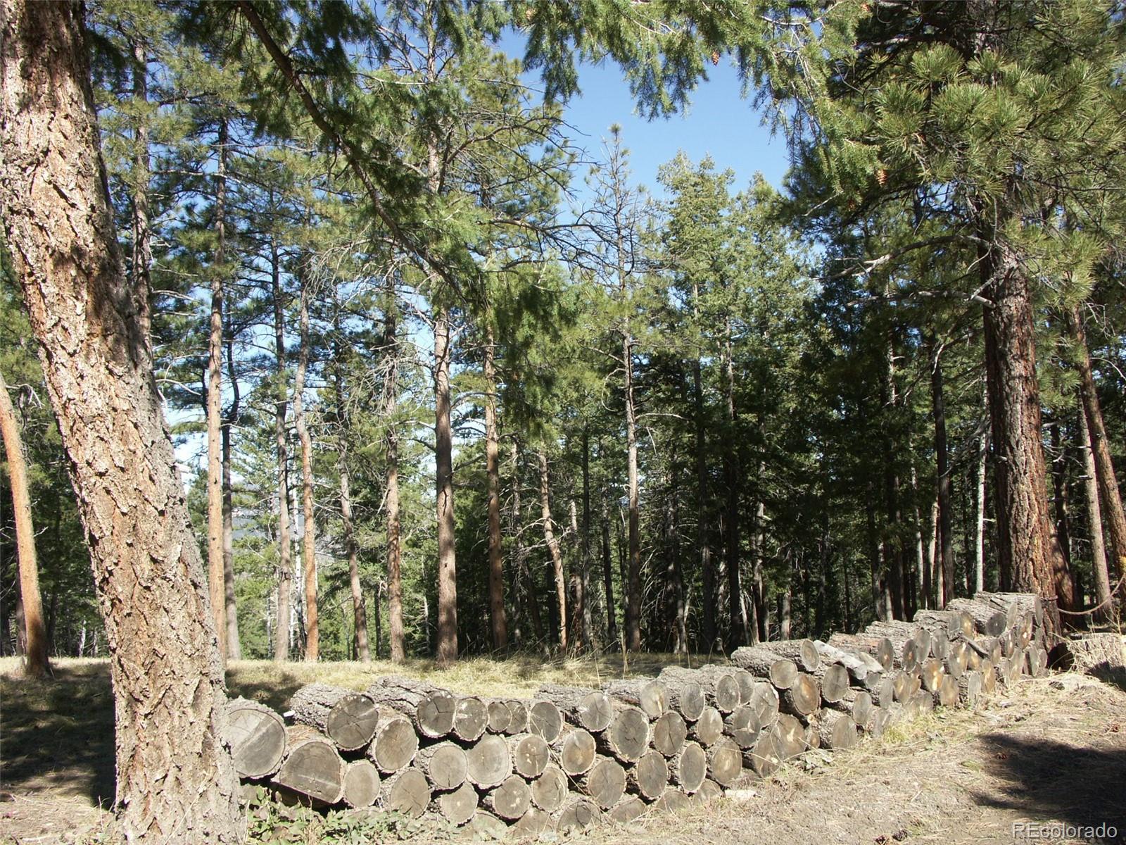 Sampson Road, Littleton, CO 80127, ,Land,For Sale,Sampson,REC8790688