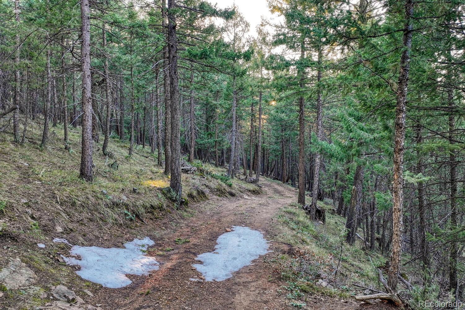 Sampson Road, Littleton, CO 80127, ,Land,For Sale,Sampson,REC8790688