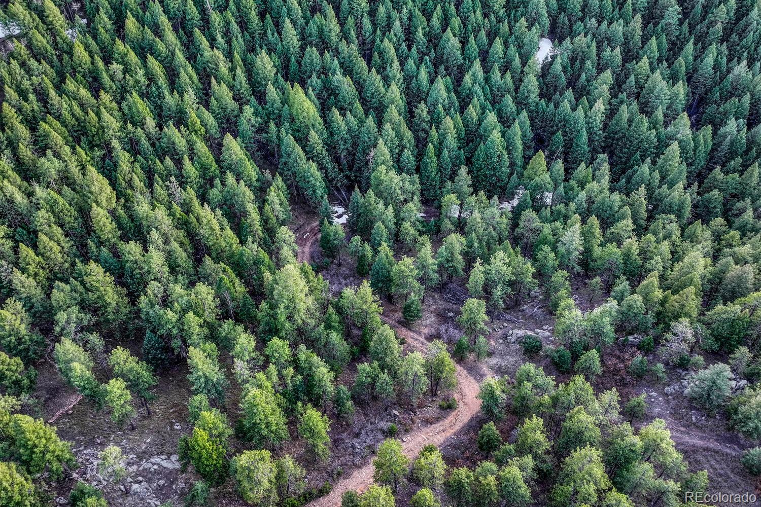 Sampson Road, Littleton, CO 80127, ,Land,For Sale,Sampson,REC8790688