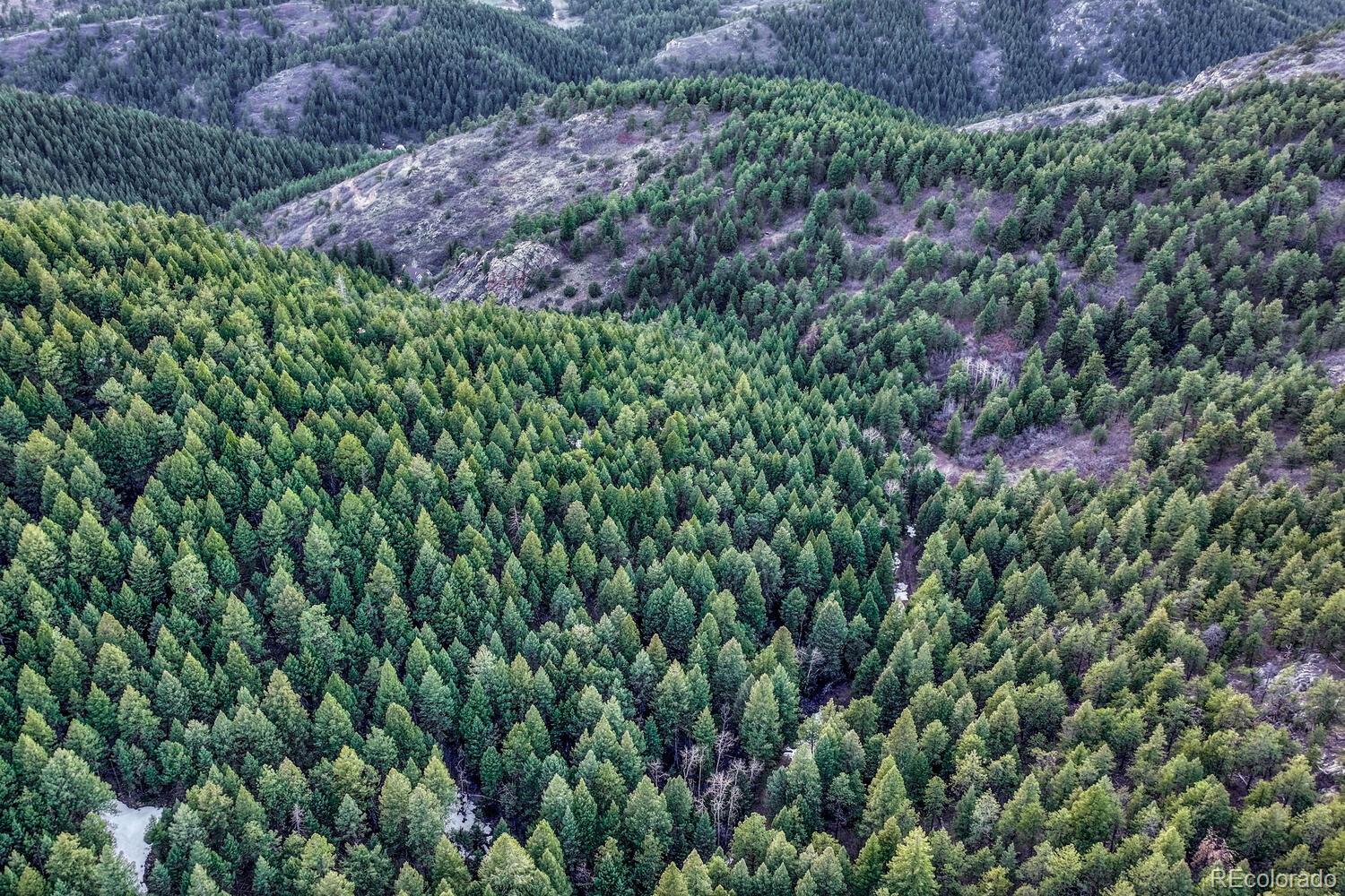 Sampson Road, Littleton, CO 80127, ,Land,For Sale,Sampson,REC8790688