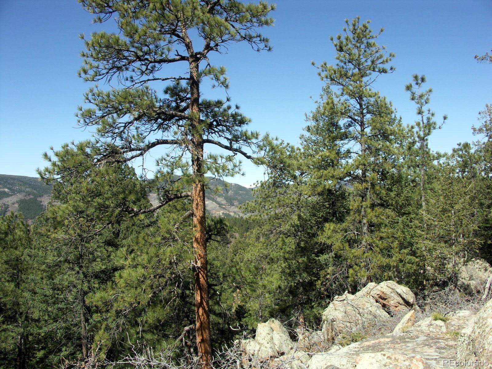 Sampson Road, Littleton, CO 80127, ,Land,For Sale,Sampson,REC8790688