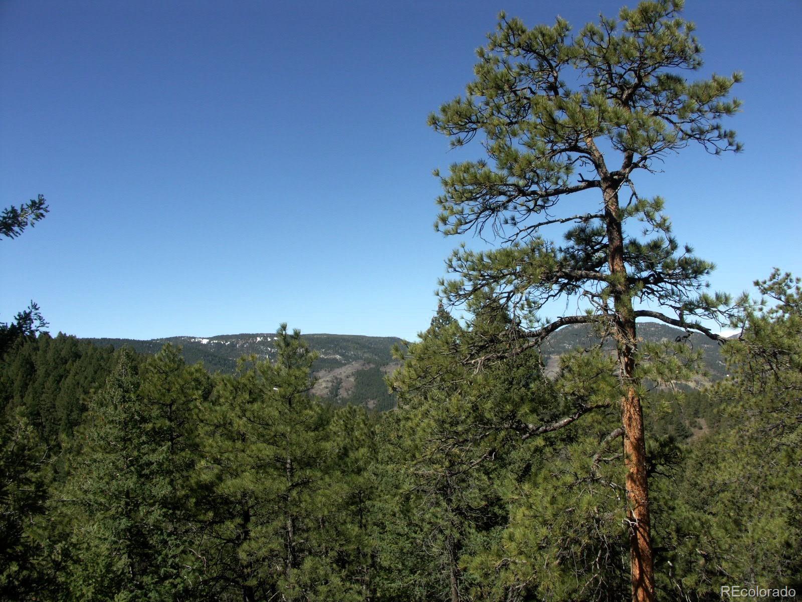 Sampson Road, Littleton, CO 80127, ,Land,For Sale,Sampson,REC8790688