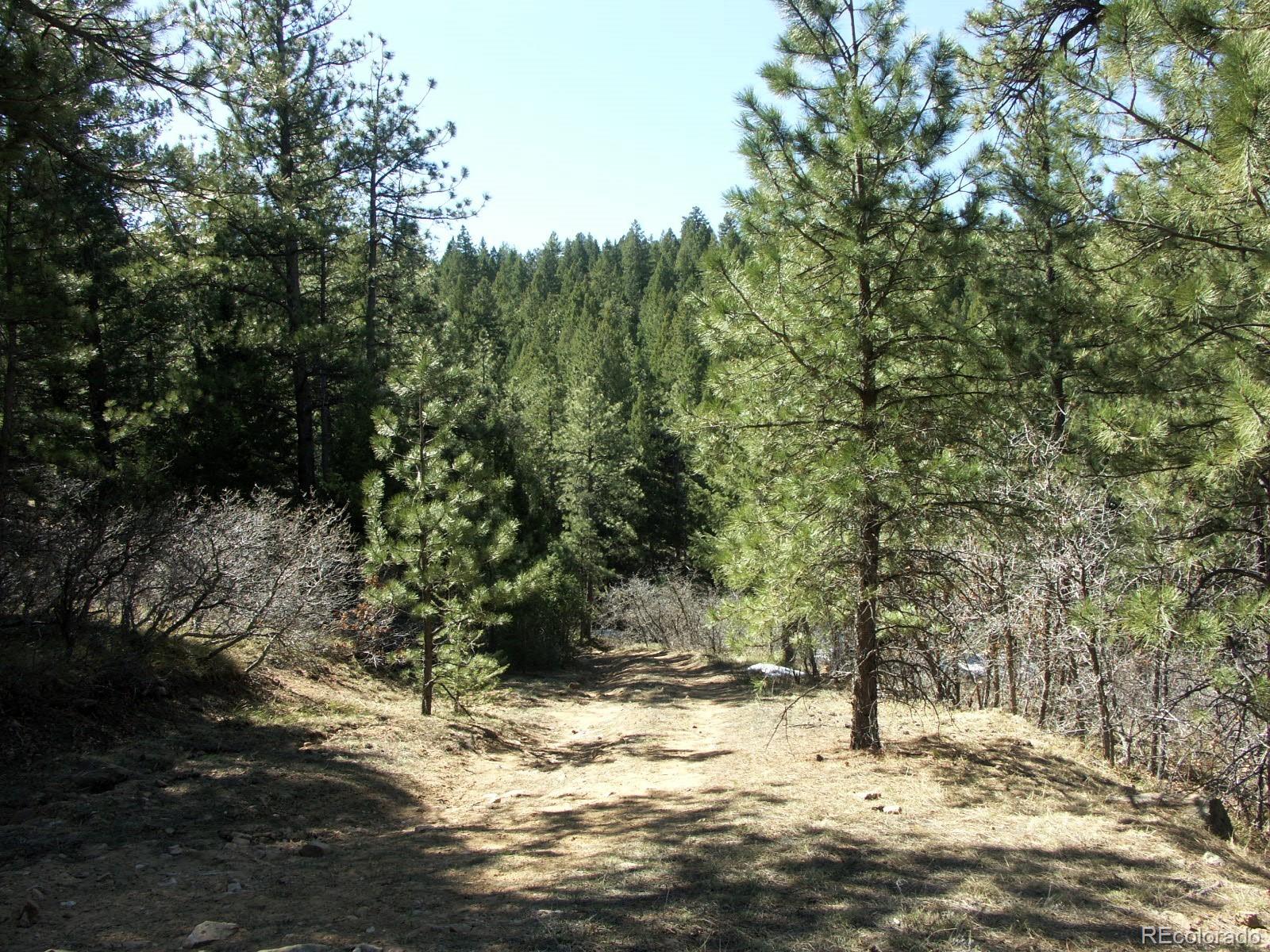 Sampson Road, Littleton, CO 80127, ,Land,For Sale,Sampson,REC8790688