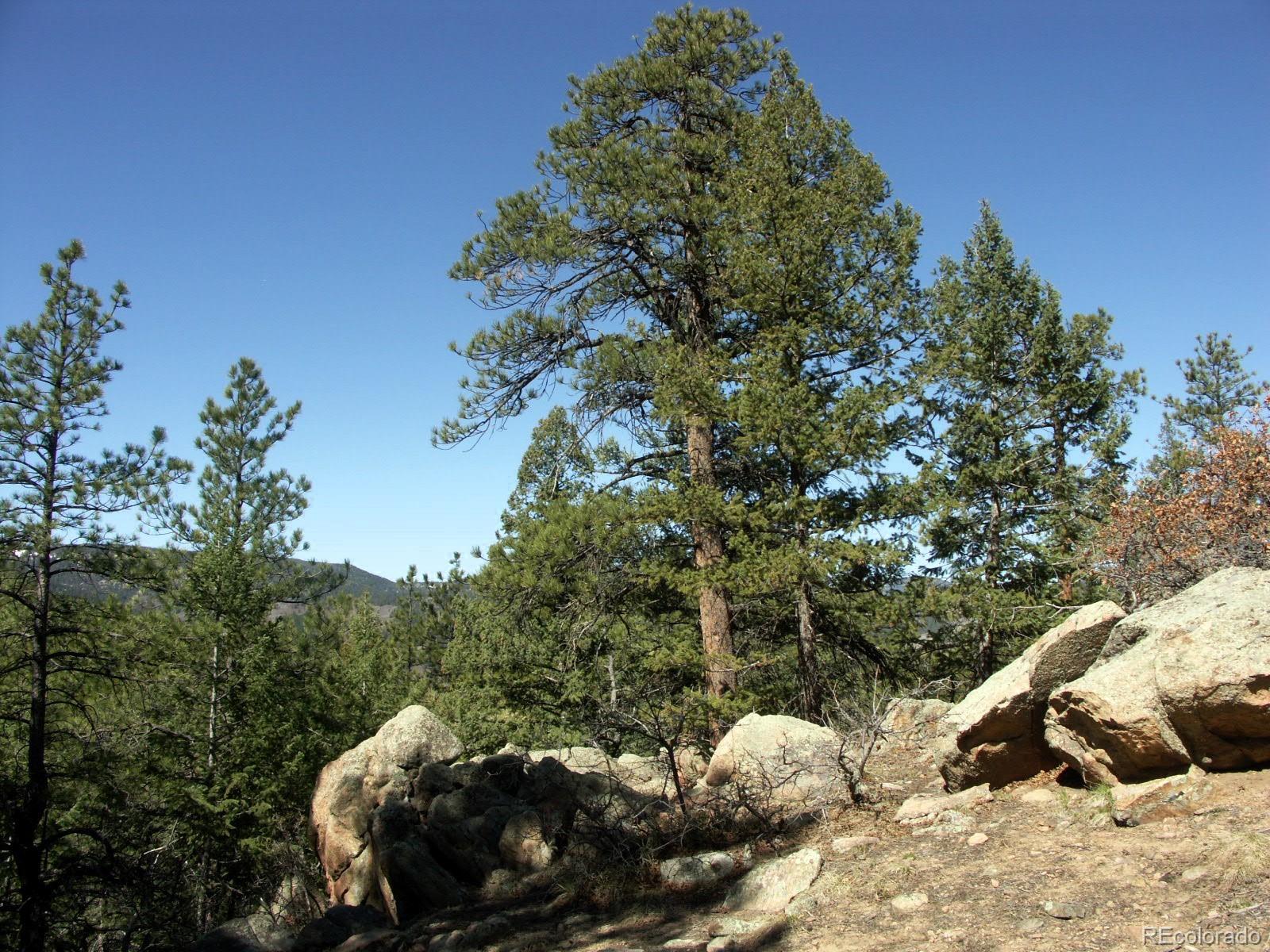 Sampson Road, Littleton, CO 80127, ,Land,For Sale,Sampson,REC8790688