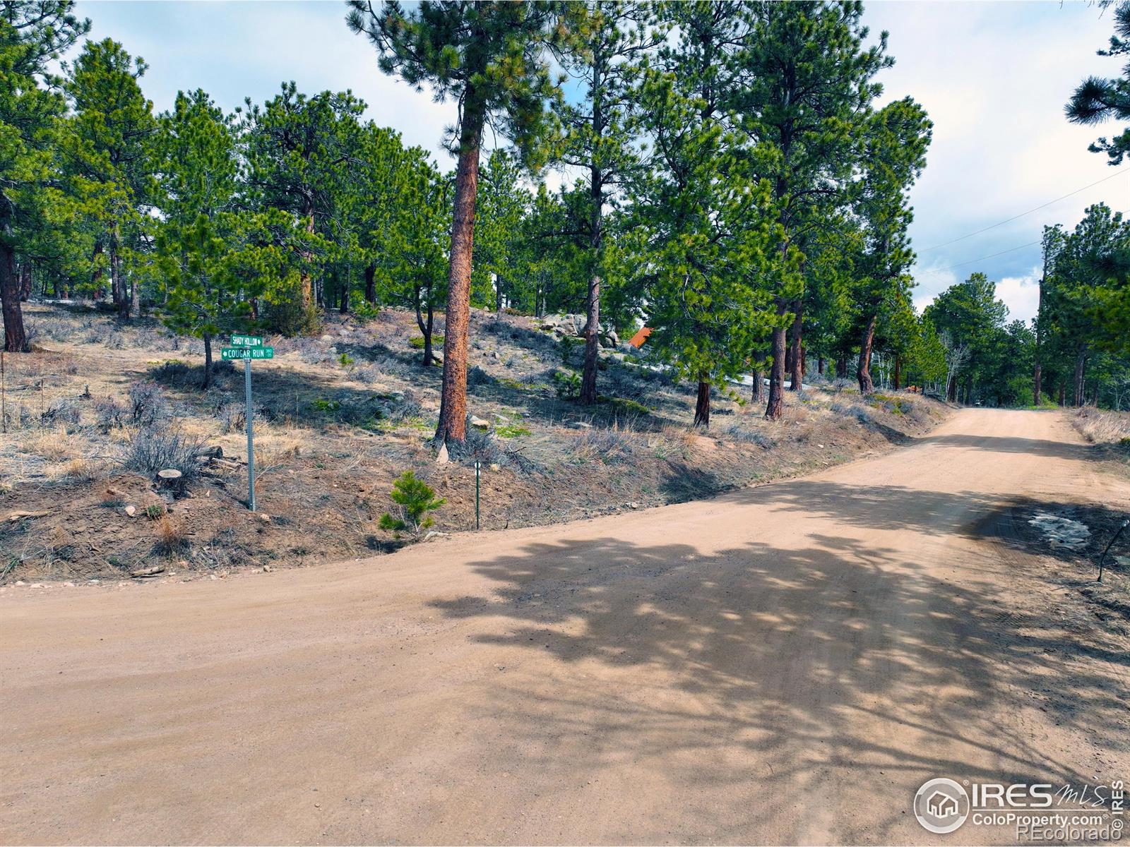 45 Shady Hollow Hollow, Nederland, CO 80466, ,Land,For Sale,Shady Hollow,RECIR1007613