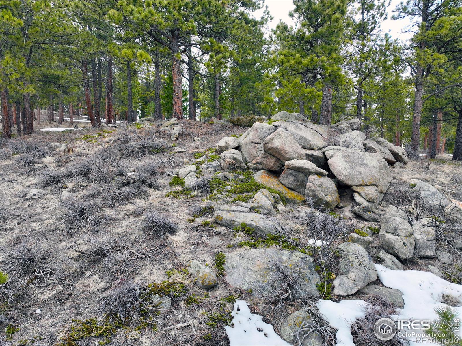 45 Shady Hollow Hollow, Nederland, CO 80466, ,Land,For Sale,Shady Hollow,RECIR1007613