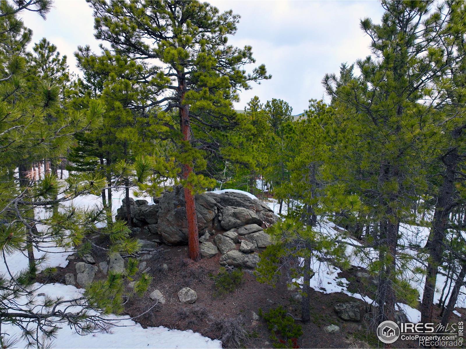 45 Shady Hollow Hollow, Nederland, CO 80466, ,Land,For Sale,Shady Hollow,RECIR1007613