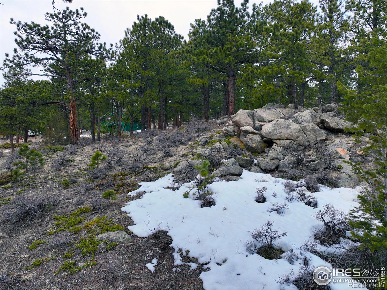 45 Shady Hollow Hollow, Nederland, CO 80466, ,Land,For Sale,Shady Hollow,RECIR1007613