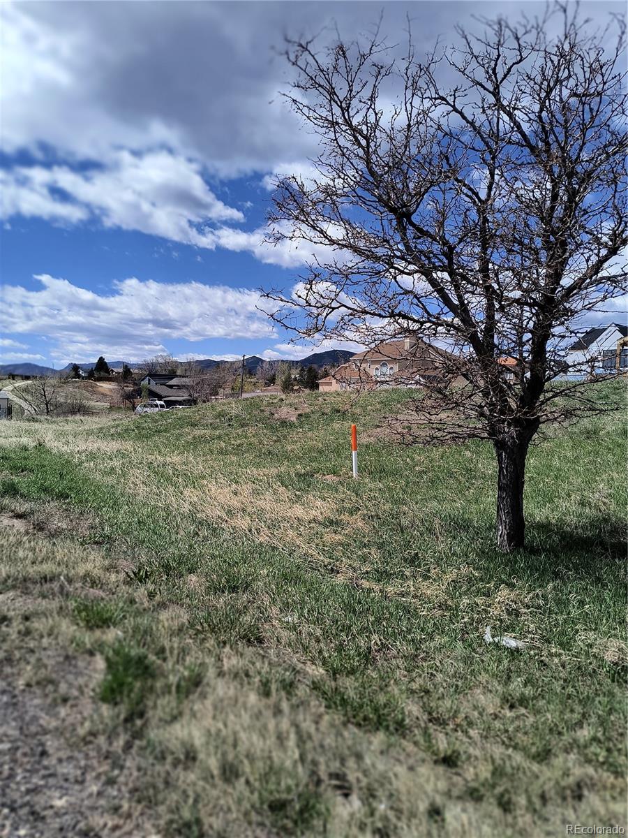 8662 Wadsworth Court, Littleton, CO 80128, ,Land,For Sale,Wadsworth,REC8669863