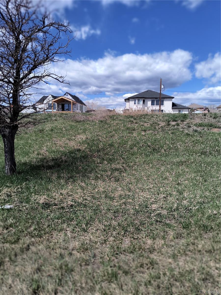 8662 Wadsworth Court, Littleton, CO 80128, ,Land,For Sale,Wadsworth,REC8669863