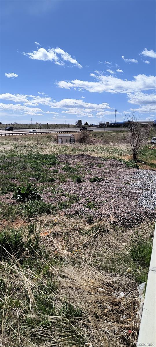 8662 Wadsworth Court, Littleton, CO 80128, ,Land,For Sale,Wadsworth,REC8669863
