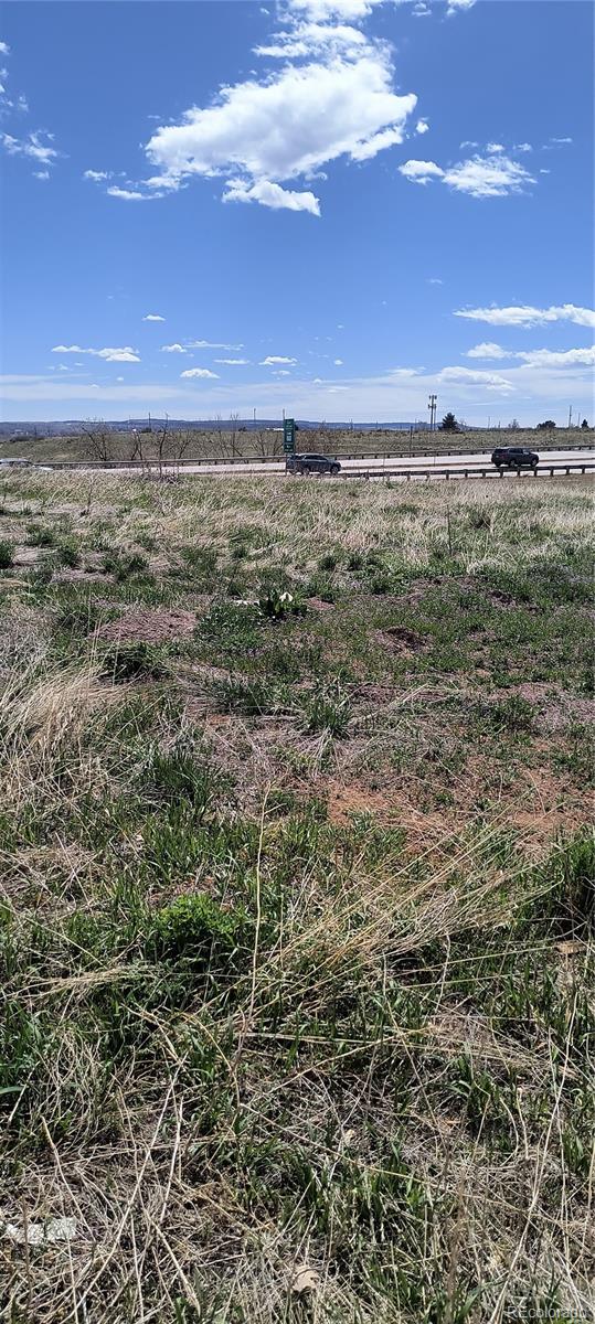8662 Wadsworth Court, Littleton, CO 80128, ,Land,For Sale,Wadsworth,REC8669863