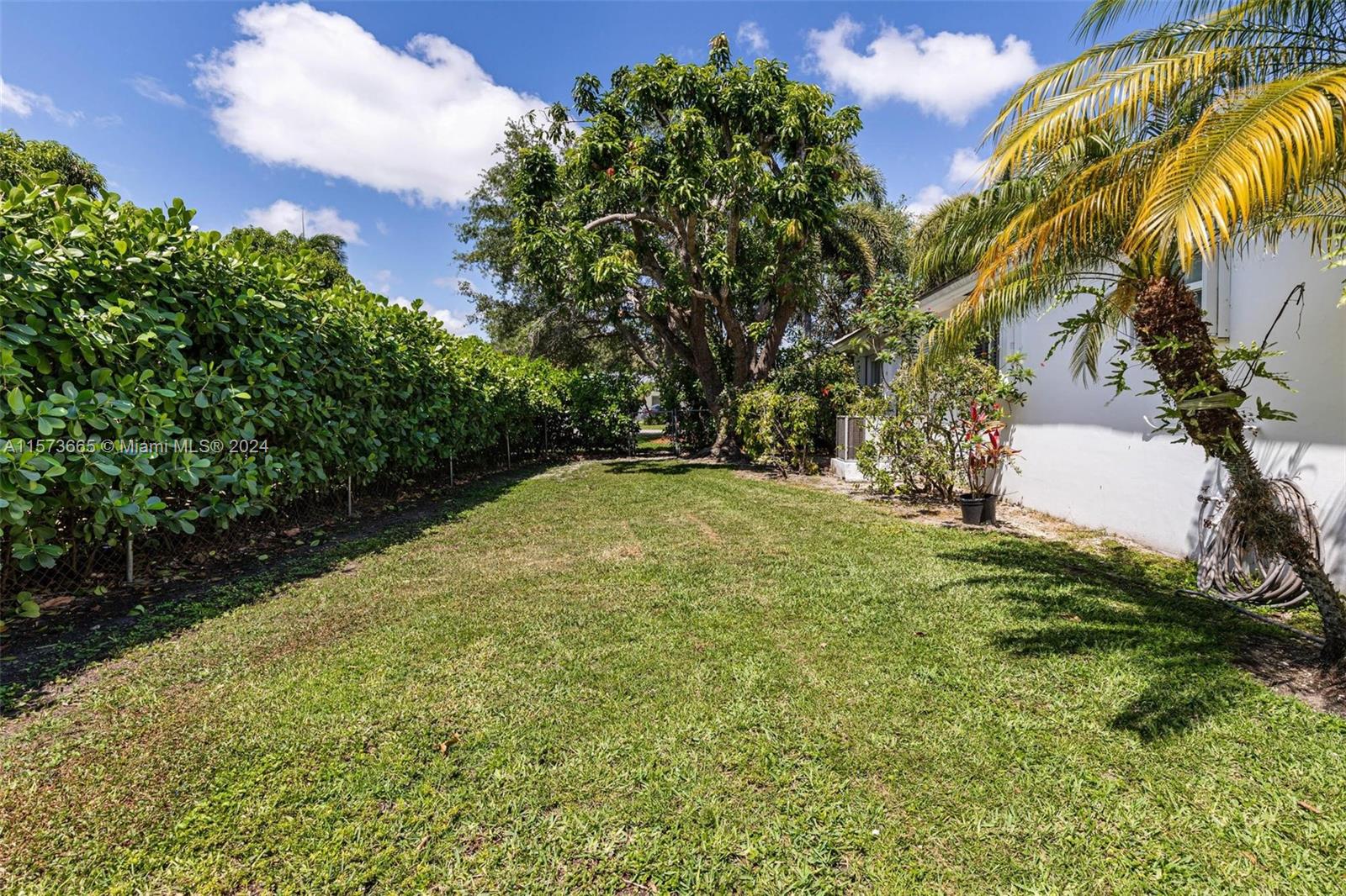 Great side yard for outdoor activities