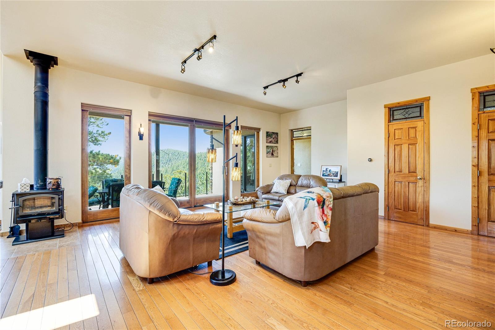 239 Wildlife Point, Divide, CO 80814, 4 Bedrooms Bedrooms, ,5 BathroomsBathrooms,Residential,For Sale,Wildlife,REC6861730