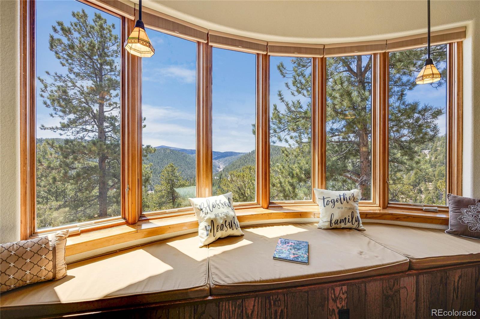 239 Wildlife Point, Divide, CO 80814, 4 Bedrooms Bedrooms, ,5 BathroomsBathrooms,Residential,For Sale,Wildlife,REC6861730