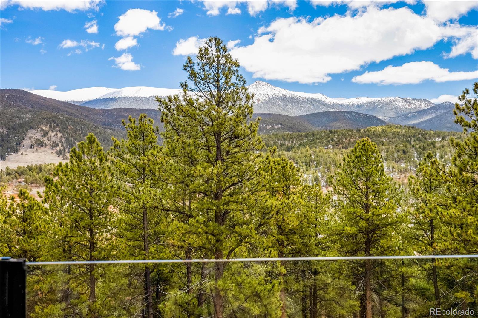 239 Wildlife Point, Divide, CO 80814, 4 Bedrooms Bedrooms, ,5 BathroomsBathrooms,Residential,For Sale,Wildlife,REC6861730