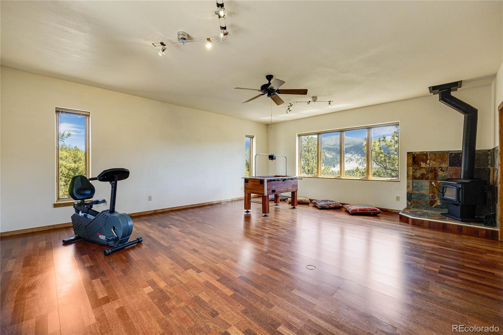 239 Wildlife Point, Divide, CO 80814, 4 Bedrooms Bedrooms, ,5 BathroomsBathrooms,Residential,For Sale,Wildlife,REC6861730