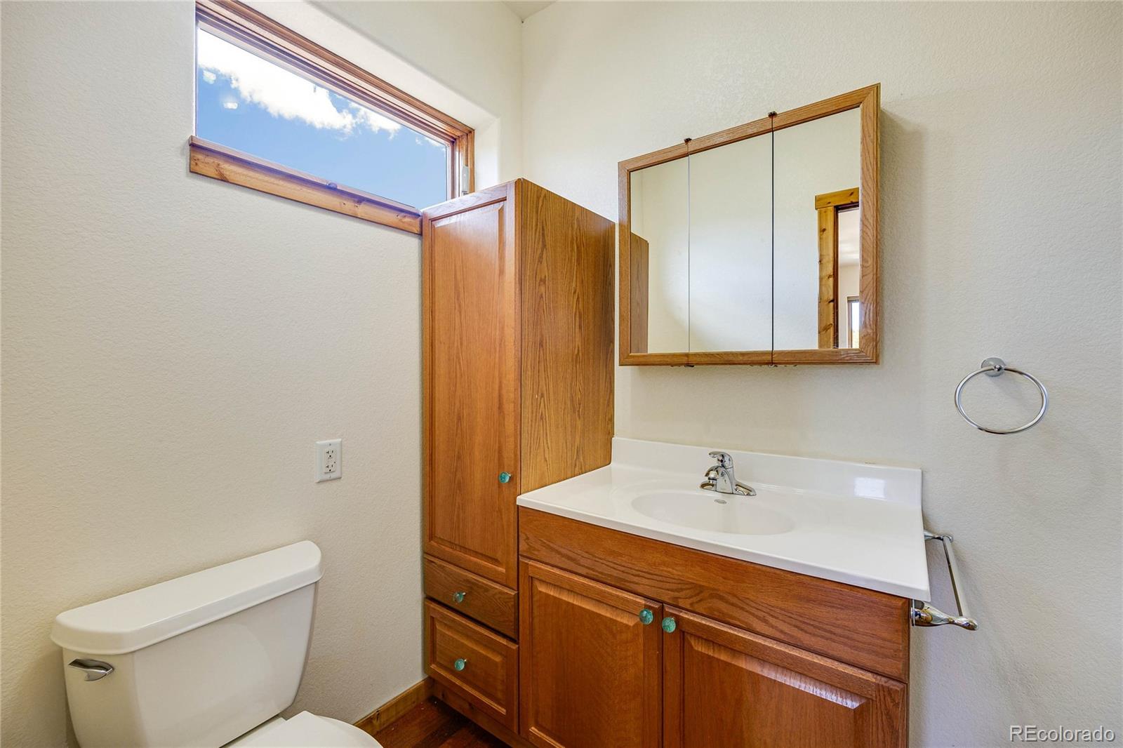 239 Wildlife Point, Divide, CO 80814, 4 Bedrooms Bedrooms, ,5 BathroomsBathrooms,Residential,For Sale,Wildlife,REC6861730