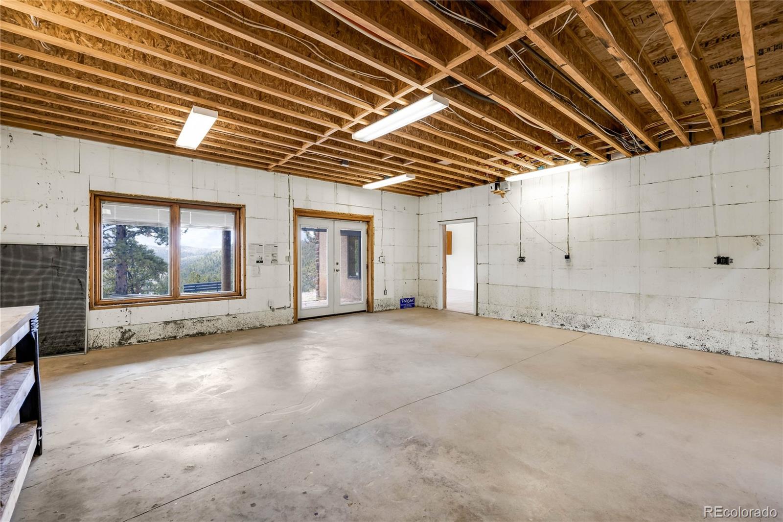 239 Wildlife Point, Divide, CO 80814, 4 Bedrooms Bedrooms, ,5 BathroomsBathrooms,Residential,For Sale,Wildlife,REC6861730