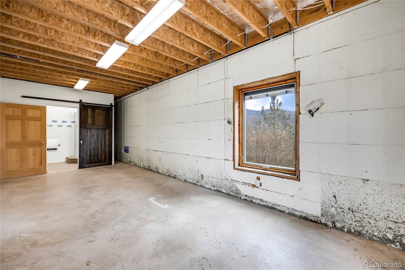 239 Wildlife Point, Divide, CO 80814, 4 Bedrooms Bedrooms, ,5 BathroomsBathrooms,Residential,For Sale,Wildlife,REC6861730