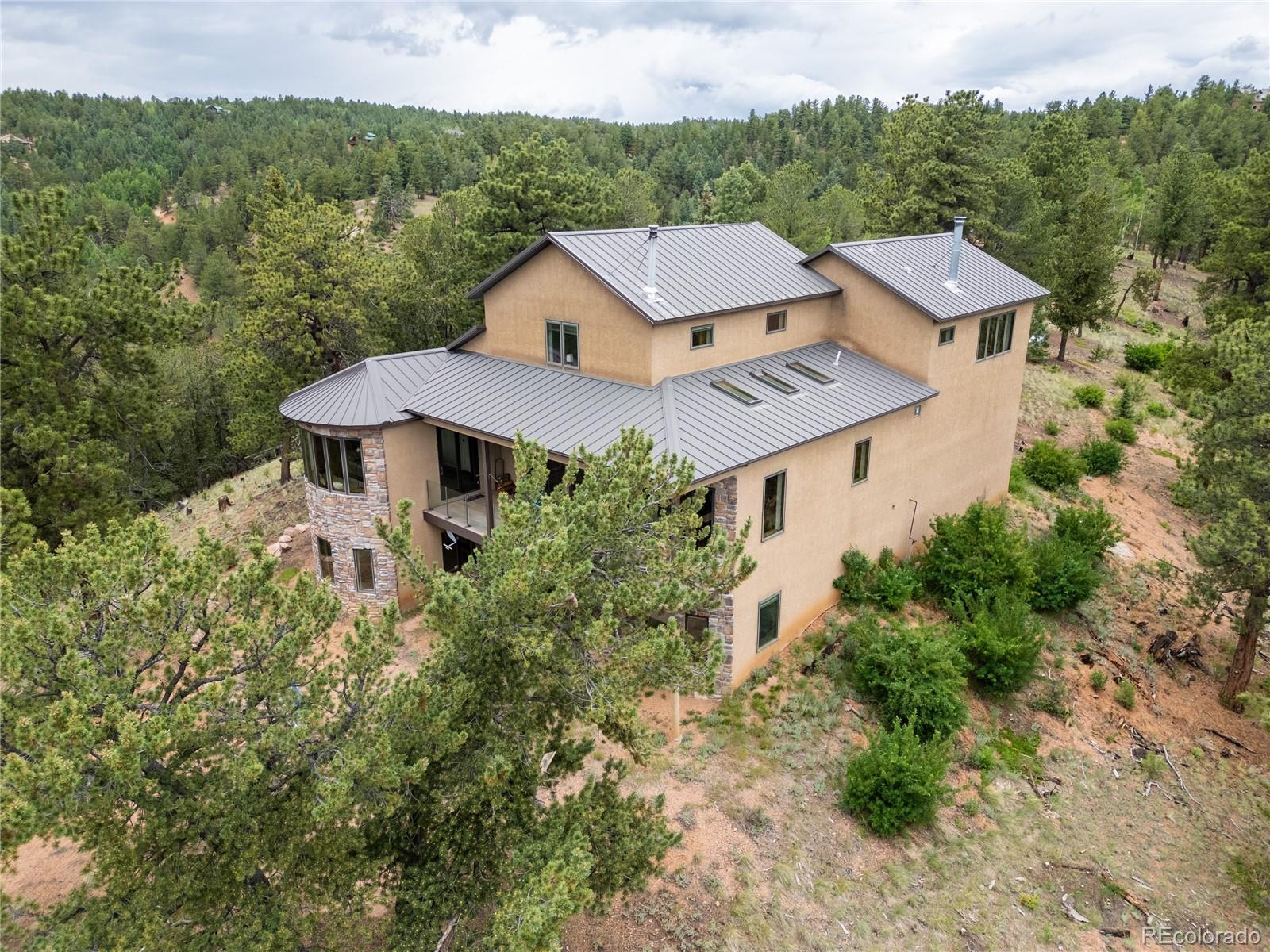 239 Wildlife Point, Divide, CO 80814, 4 Bedrooms Bedrooms, ,5 BathroomsBathrooms,Residential,For Sale,Wildlife,REC6861730