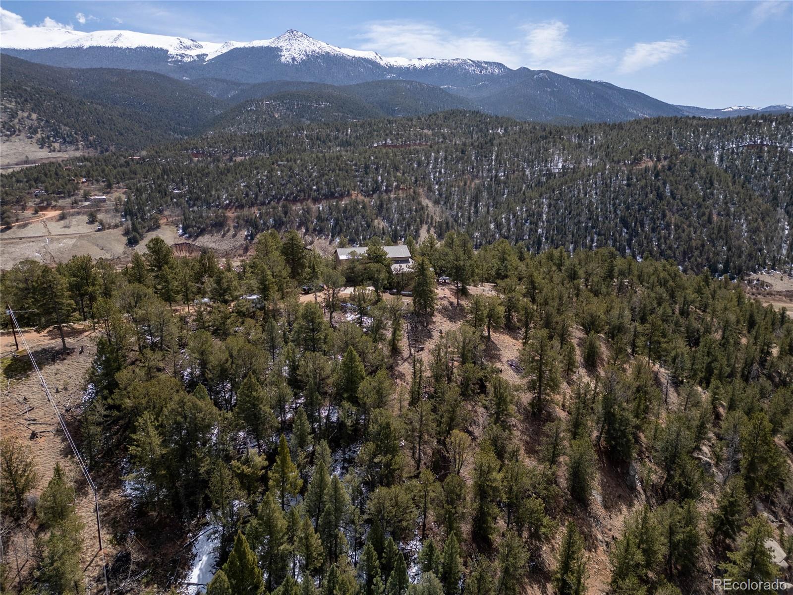 239 Wildlife Point, Divide, CO 80814, 4 Bedrooms Bedrooms, ,5 BathroomsBathrooms,Residential,For Sale,Wildlife,REC6861730